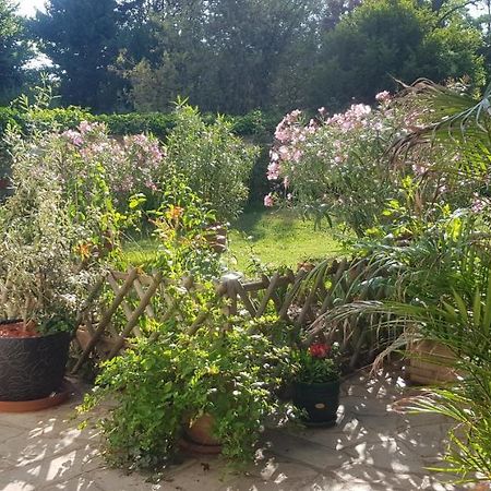 Maison Anne Face To Park In Vernon Giverny Εξωτερικό φωτογραφία